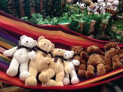 -济州岛泰迪熊博物馆