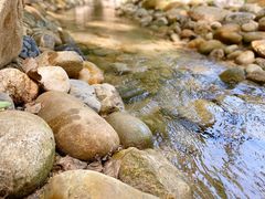 -林间山庄