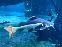 -华夏文旅海洋公园