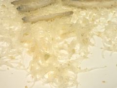 -北海金昌开元名都大酒店·四季轩中餐厅