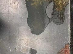 -宝乐康动物医院(北潞园店)