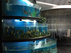 水产区-王家渡火锅店(棕榈泉店)