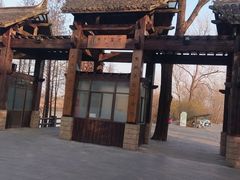 -溱湖国家湿地公园