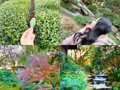 -中国茶叶博物馆(双峰馆区)