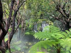 -Chom Cafe and Restaurant