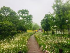 -南湖湿地公园