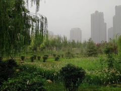 -张店儿童公园