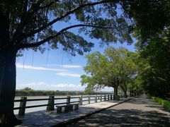 -大湾区中央湿地公园