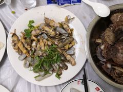 炒蛏子-宾朋海鲜特色美食餐厅·纯手工鲅鱼水饺(兴海路店)