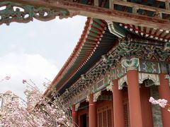 -珠海圆明新园