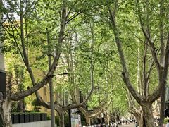 -西安电影制片厂