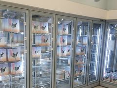-山与蓝·轻糖鲜果蛋糕(勒泰店)