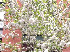 -福娃禧娃幼儿园