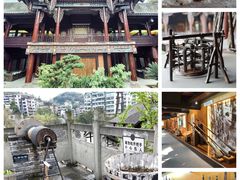 -自贡恐龙博物馆