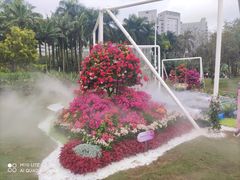 -莲花山公园