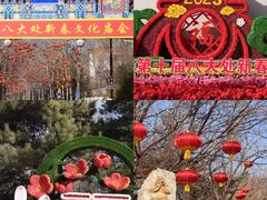 -八大处公园