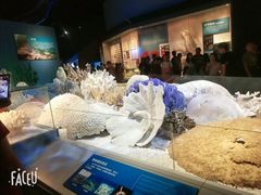 -贝林大翅鲸简餐厅(国家海洋博物馆店)