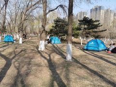 -长白岛森林公园