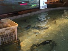 -胖姐渔村(中源大道店)