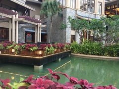 -亚龙湾希尔顿自助餐厅·海鲜·烧烤·沙滩BBQ·现场乐队