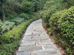 -桃花岭景区