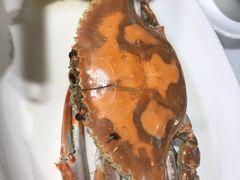 -胖大嫂渔家排档·全海景餐厅(渔村店)