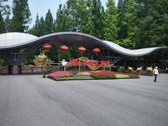 -东平国家森林公园