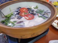 -全乐鱼馆·淳牌有机鱼直营店