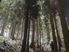 -太阳湾风景区