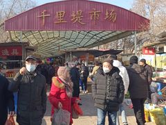 -中环花鸟鱼虫市场
