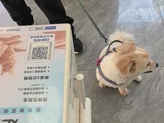 -美联众合爱康动物医院•复杂内科•肿瘤科•牙科•腔镜诊疗中心