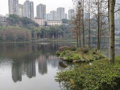 -重庆彩云湖湿地公园