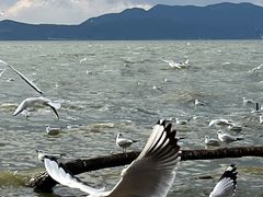 -捞渔河湿地公园