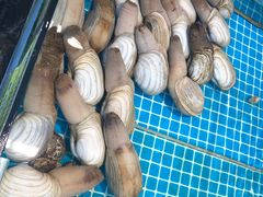 -三亚火车头万人海鲜广场