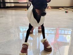 -宠颐生·恒爱宠物医院(静海店)