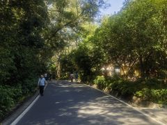 -白云山风景名胜区