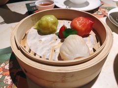 -点都德·毕德寮