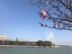 -无锡蠡湖国家湿地公园-蠡园