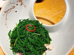 凉拌新鲜沙葱-蒙料·手把肉(望京店)