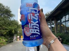 -紫金山山顶公园