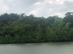 -东寨港红树林旅游区