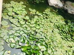 -燕郊植物园
