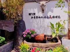 -慢丽江·云南野生菌土鸡锅(付家庄店)