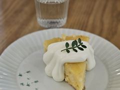 -猫里有甜