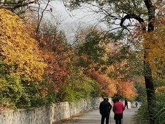 -北京鹫峰国家森林公园