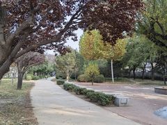 -坝河休闲公园
