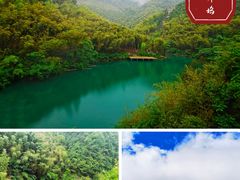 -莫干山风景区