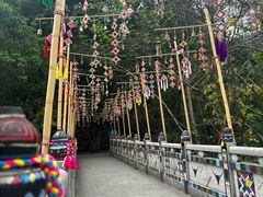 -西双版纳原始森林公园