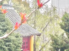 -鸡鸣寺