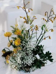 -琥珀婚礼策划AMBER WEDDING